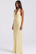 Halter Neck Sleeveless Maxi Dress