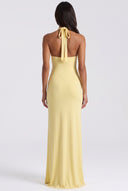 Halter Neck Maxi Dress